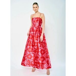 ✨ NWT Flora Bea NYC Mecca Dress in Red Meadows ✨